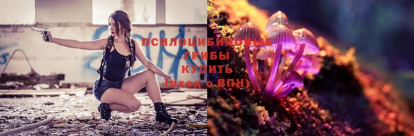 гашик Армянск