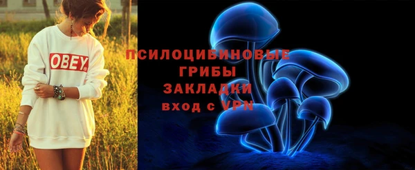 гашик Армянск