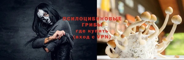 гашик Армянск